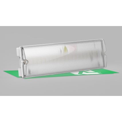 LED2 - Bloc sortie de secours SAFE ON LED/3W/3,6V 6000K IP65