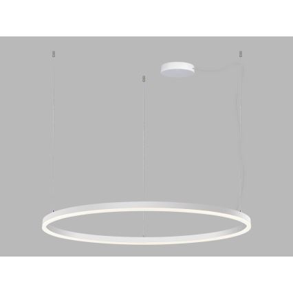 LED2 - Dimbare LED hanglamp aan een koord CIRCLE LED/80W/230V 3000K/4000K diameter 100 cm wit