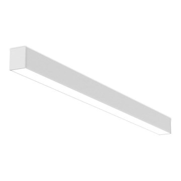 LED2 - Dimbare LED Plafondlamp NOLI LED/40W/230V 3000K/3500K/4000K wit