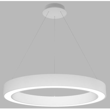 LED2 - LED dimbare kroonluchter aan snoer SATURN LED/60W/230V 3000K/4000K wit