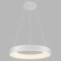 LED2 - LED Hanglamp aan een koord BELLA LED/40W/230V 3000/4000K wit