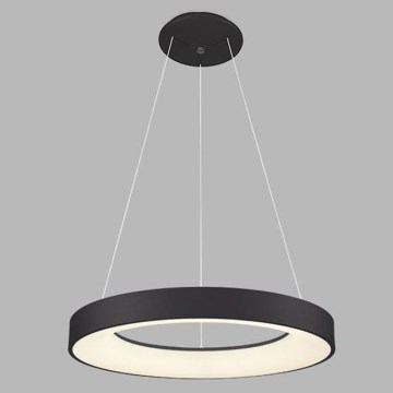 LED2 - LED Hanglamp aan een koord BELLA LED/40W/230V 3000/4000K zwart