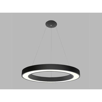 LED2 - LED Hanglamp aan een koord SATURN LED/80W/230V 3000K diameter 80 cm zwart