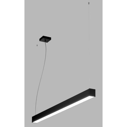 LED2 - LED Kroonluchter aan een snoer NOLI LED/40W/230V 3000K/3500K/4000K zwart