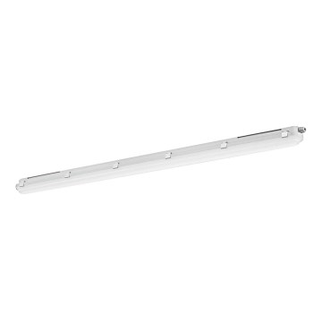 LED2 - LED Werklamp DUSTER LED/52W/230V IP66