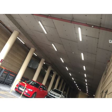 LED2 - LED Werklamp DUSTER LED/52W/230V IP66