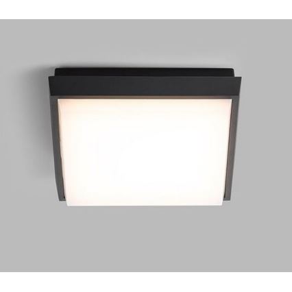 LED2 - Plafonnier LED extérieur QUADO LED/10W/230V anthracite IP54