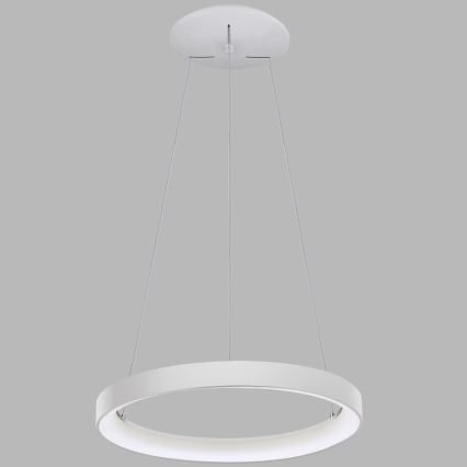 LED2 - Suspension filaire BELLA LED/48W/230V 3000K/4000K blanc