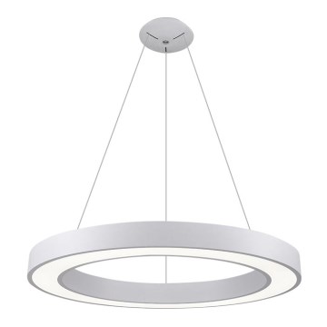 LED2 - Suspension filaire LED SATURN LED/80W/230V 3000K diam. 80 cm blanc