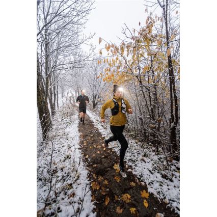 Ledlenser NEO5R - lampe frontale rechargeable LED à intensité réglable LED/1800 mAh IP54 600 lm 35 h noir/blanc