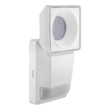 Ledvance - Applique murale extérieur LED avec capteur SPOT LED/8W/230V IP55 blanc