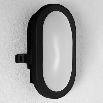 Ledvance - Applique murale LED extérieur BULKHEAD LED/11W/230V IP54 noir