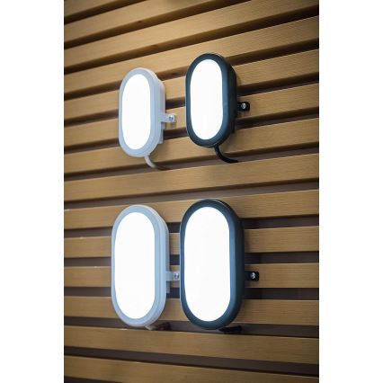 Ledvance - Applique murale LED extérieur BULKHEAD LED/11W/230V IP54 noir