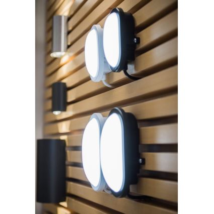 Ledvance - Applique murale LED extérieur BULKHEAD LED/11W/230V IP54 noir