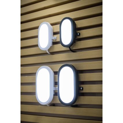 Ledvance - Applique murale LED extérieure  BULKHEAD LED/6W/230V IP54 noir