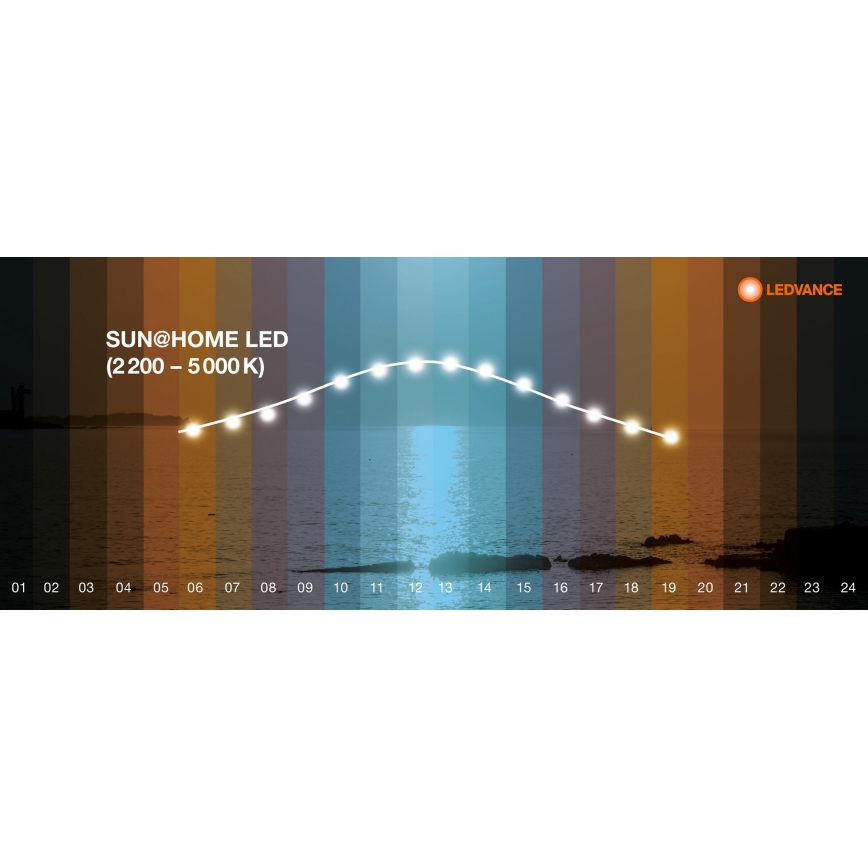 Ledvance - LED dimbaar paneel SUN@HOME LED/35W/230V 2200-5000K CRI 95 Wi-Fi
