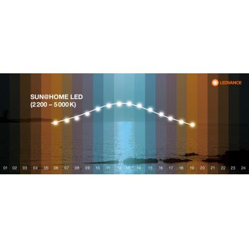 Ledvance - Dimbaar LED Paneel SUN@HOME LED/35W/230V 2200-5000K CRI 95 Wi-Fi