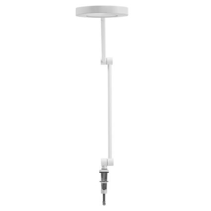 Ledvance - Dimbare LED lamp met klem SUN@HOME LED/15W/230V 2200-5000K CRI 95 Wi-Fi