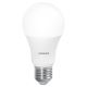 Ledvance - Dimbare LED Lamp SMART+ SUN@HOME A60 E27/9W/230V Wi-Fi CRI 95 2200-5000K