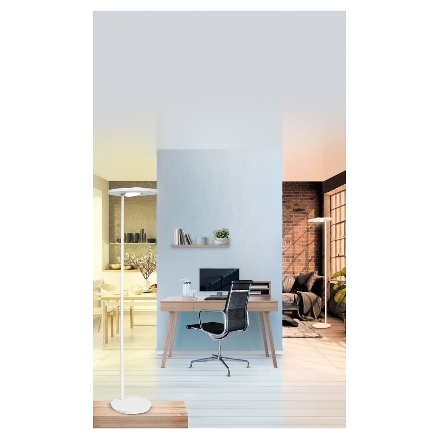Ledvance - Dimbare en Staande LED Lamp SUN@HOME LED/36W/230V 2200-5000K CRI 95 Wi-Fi