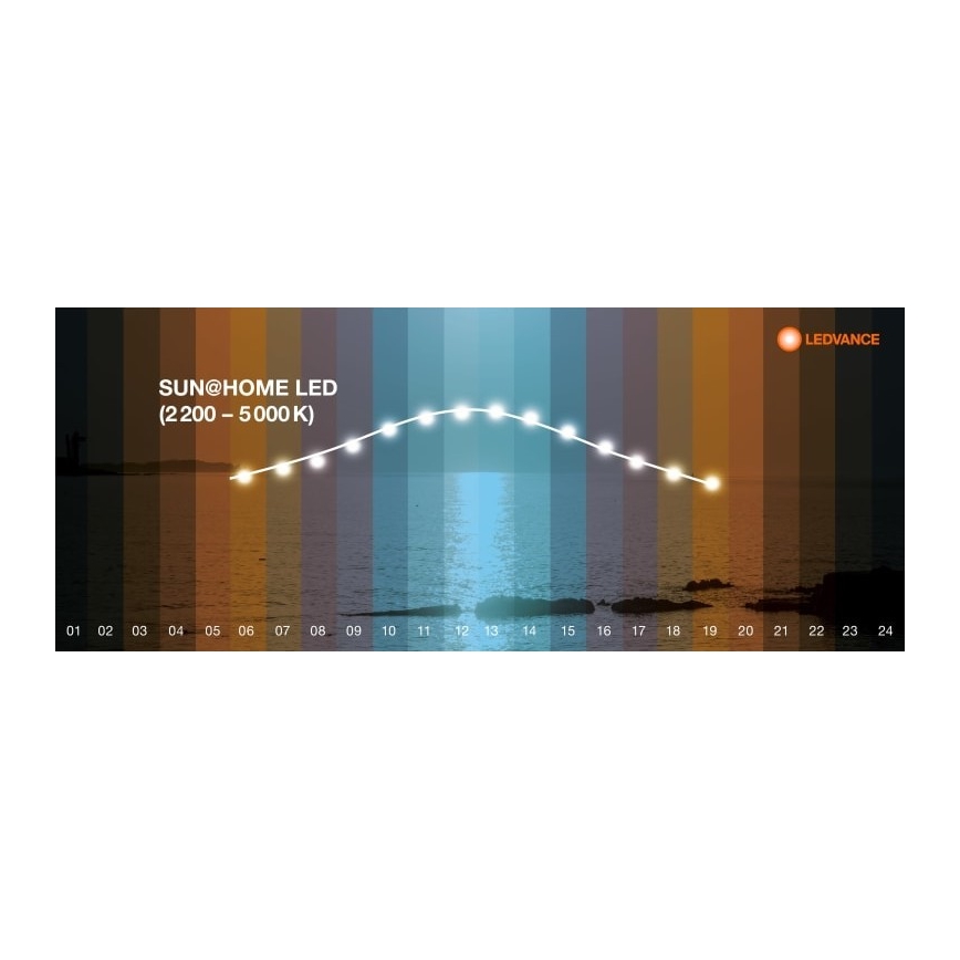 Ledvance - Dimbare en Staande LED Lamp SUN@HOME LED/36W/230V 2200-5000K CRI 95 Wi-Fi