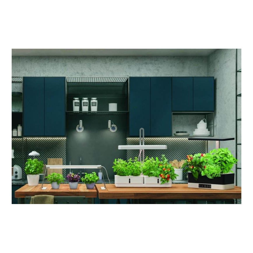 Ledvance - Lampe d'intérieur LED pour plantes GARDEN LIGHT LED/14W/230V