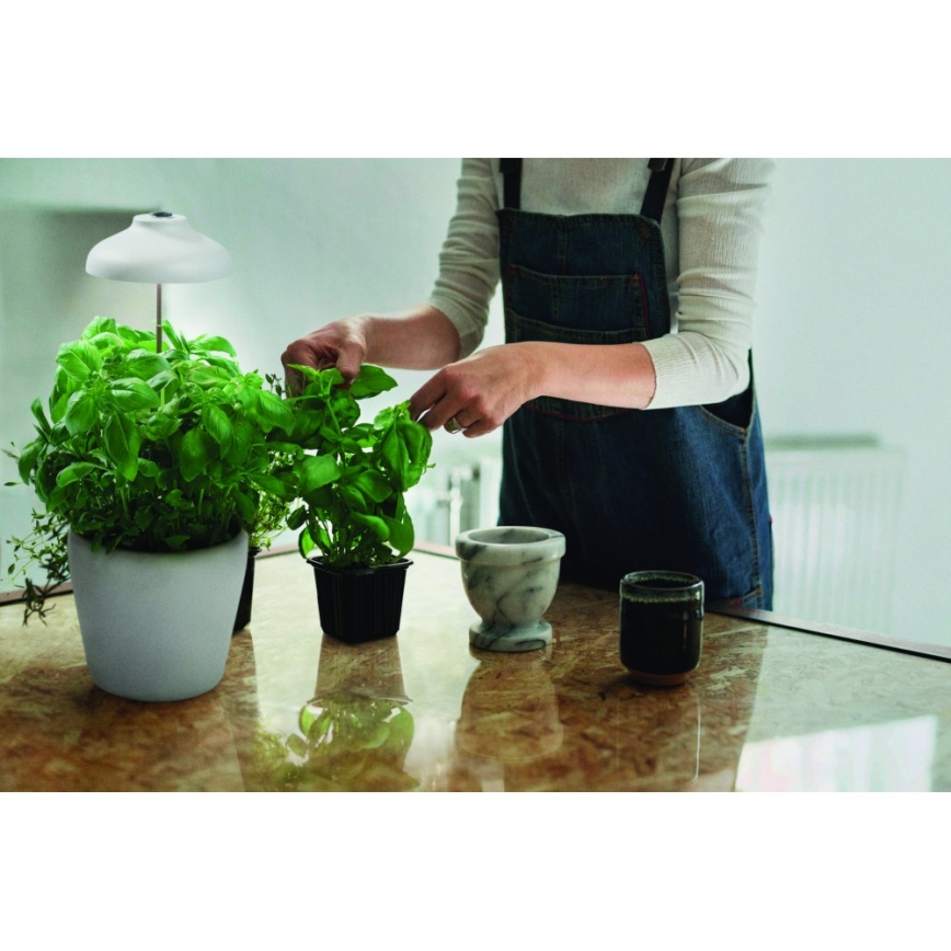 Ledvance - Lampe d'intérieur LED pour plantes GARDEN LIGHT LED/5W/5V