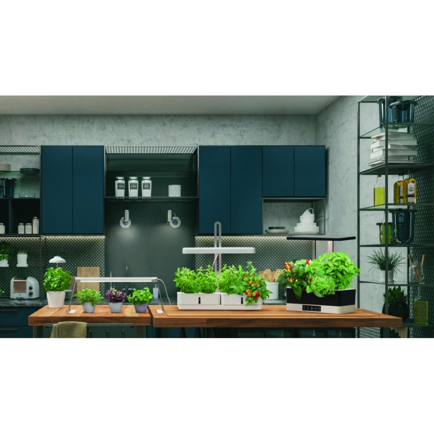 Ledvance - Lampe d'intérieur LED pour plantes GARDEN LIGHT LED/5W/5V