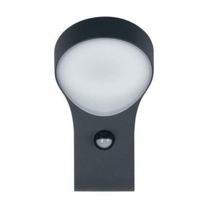 Ledvance - LED Buiten wandlamp met sensor ENDURA LED/8W/230V IP44