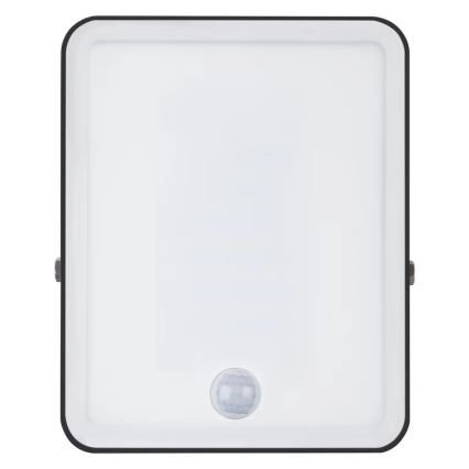 Ledvance - LED Buitenlamp met sensor FLOODLIGHT LED/30W/230V 6500K IP65