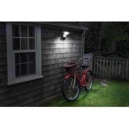Ledvance - LED Buitenwand schijnwerper met sensor SPOTLIGHT LED/4W/4xD IP54