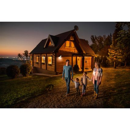 Ledvance - LED buitenwandschijnwerper met bewegings- en schemeringssensor FLOODLIGHT LED/30W/230V IP65