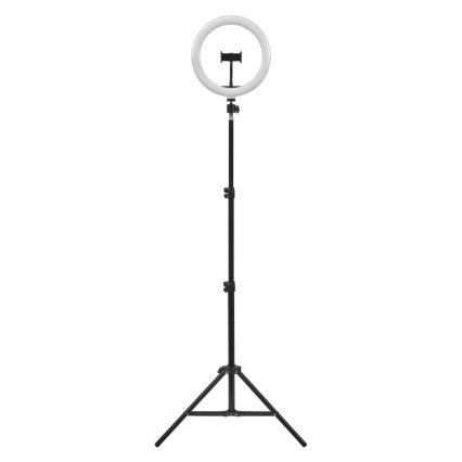 Ledvance - Dimbare LED Staande lamp met een standaard en houder voor vloggen LED/6W/USB 3000/4000/6500K