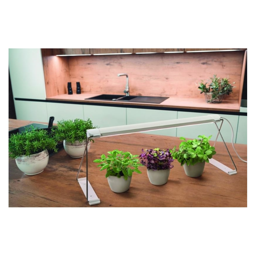 Ledvance - LED Interieur Lamp GARDEN LIGHT LED/14W/230V