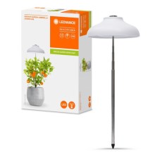 Ledvance - LED Interieur Lamp GARDEN LIGHT LED/5W/5V