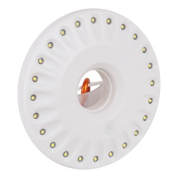 Ledvance - LED Lamp FLASHLIGHT CAMP LED/1,2W/3xAAA