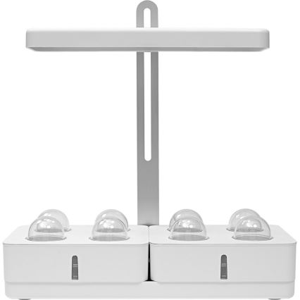 Ledvance - LED Lamp voor Binnen GARDEN KIT LED/24W/230V