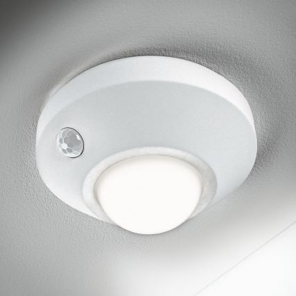 Ledvance - LED Oriëntatielamp met sensor NIGHTLUX LED/1,7W/3xAA 4000K