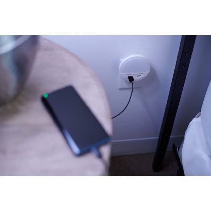 Ledvance - LED nachtlampje voor in het stopcontact met sensor LUNETTA 2xUSB LED/13W/230V