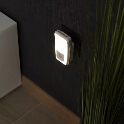 Ledvance - LED Oriëntatie Stopcontact Lamp met Sensor LUNETTA LED/2W/230V