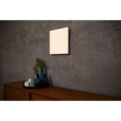 Ledvance - LED Paneel voor oppervlakte montage FRAMELESS LED/40W/230V 3000K