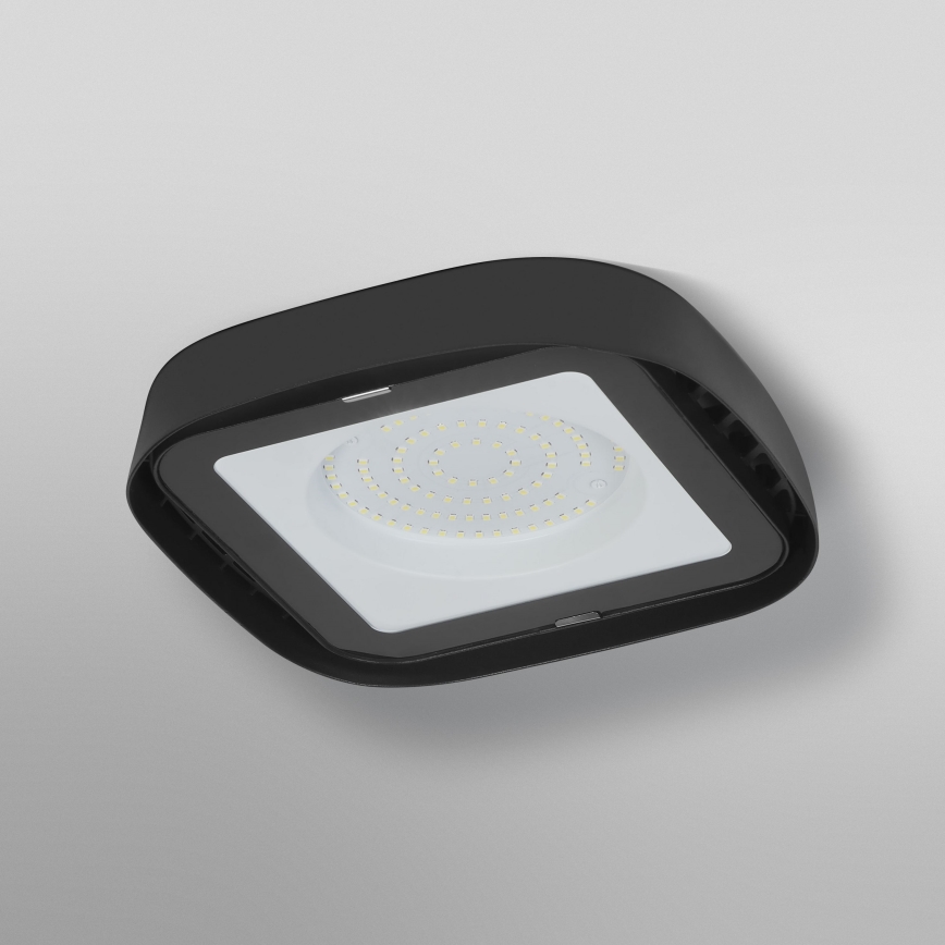Ledvance - LED Plafond industriële verlichting HIGHBAY LED/80W/230V IP65 6500K