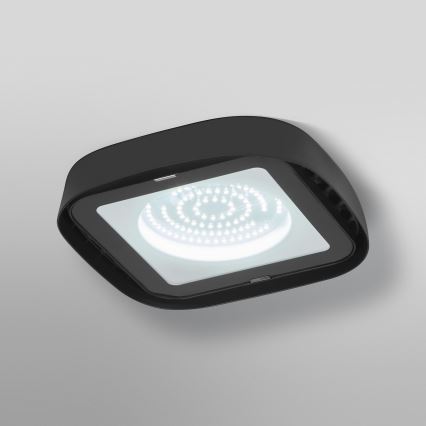 Ledvance - LED Plafond industriële verlichting HIGHBAY LED/80W/230V IP65 6500K