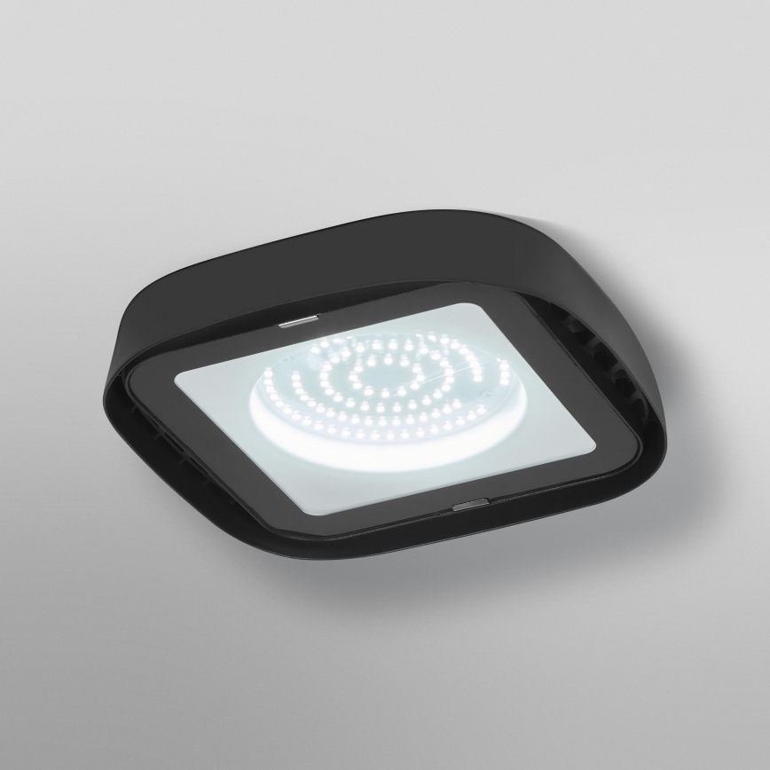Ledvance - LED Plafond industriële verlichting HIGHBAY LED/80W/230V IP65 6500K