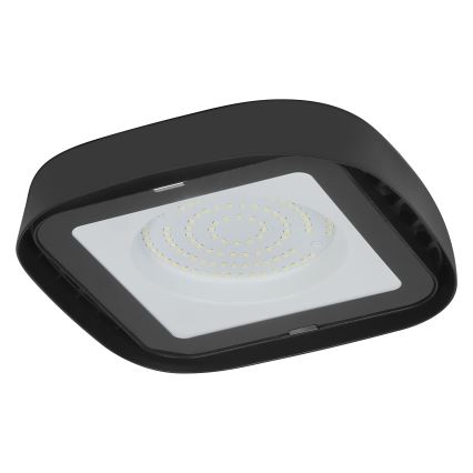 Ledvance - LED Plafond industriële verlichting HIGHBAY LED/80W/230V IP65 6500K