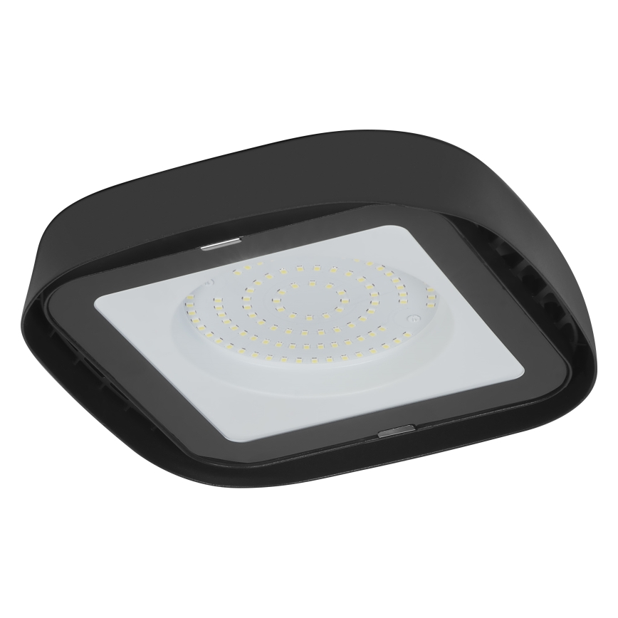 Ledvance - LED Plafond industriële verlichting HIGHBAY LED/80W/230V IP65 6500K