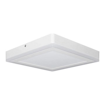 Ledvance - LED Plafond Lamp SQUARE LED/18W/230V