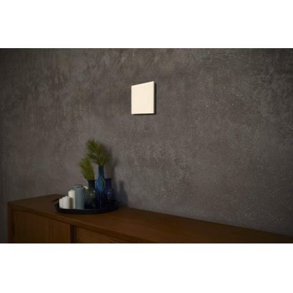 Ledvance - LED Plafondlamp dimbaar SMART+ FRAMELESS LED/20W/230V Wi-Fi