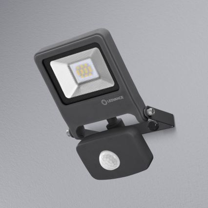 Ledvance - LED Schijnwerper met sensor ENDURA LED/10W/230V IP44