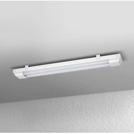 Ledvance - LED TL licht POWER BATTEN 2x LED / 12W / 230V 4000K